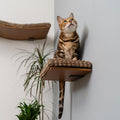 Kitsune Garden Cat Step Cat Wall Furniture Wall Mounted Shelf Cat Wall Shelf Cat Shelves Cat Bed Cat Shelf Cat Steps for Wall Brown (Step)